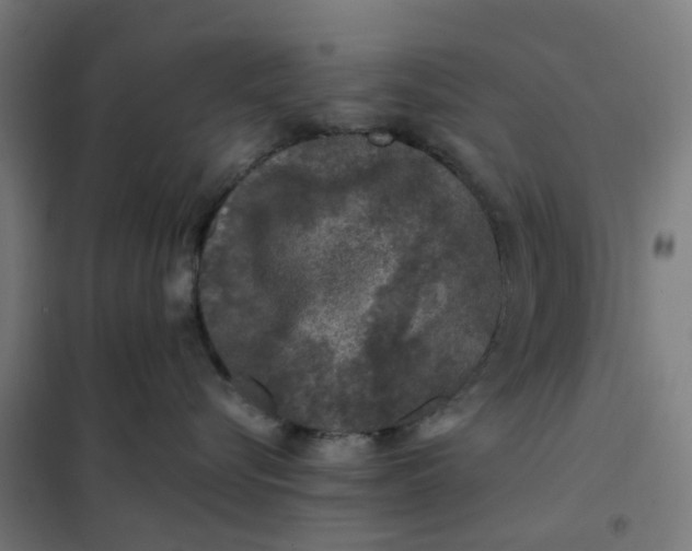 X0000101710576200807241458