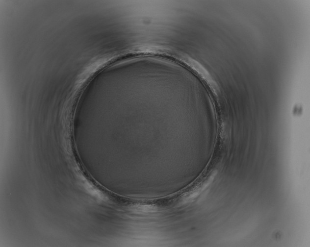 X0000101710577200807241458