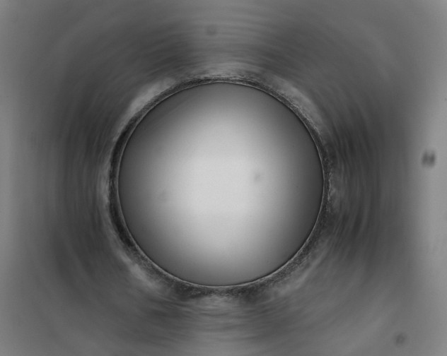 X0000101710578200807241458