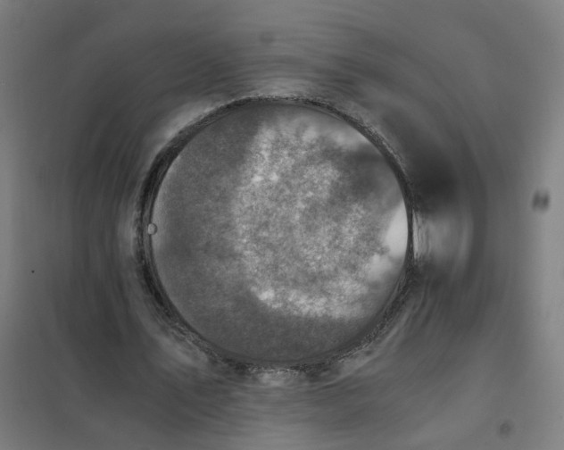 X0000101710579200807241458