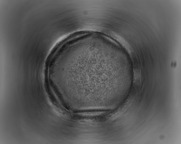 X0000101710580200807241458