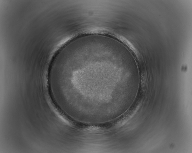 X0000101710581200807241458