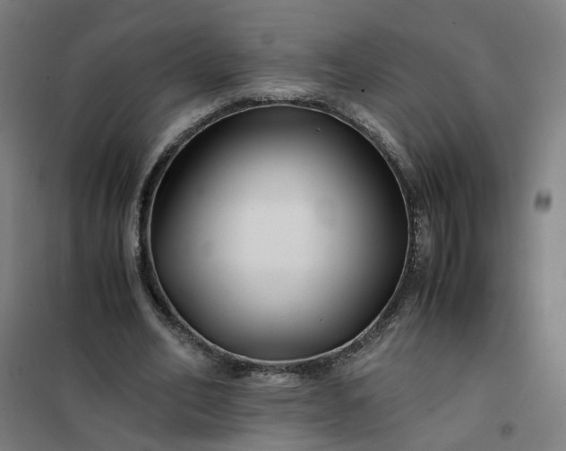 X0000101710582200807241458