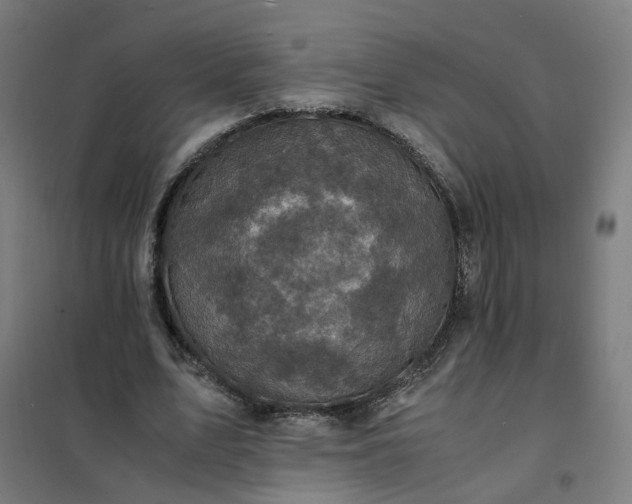 X0000101710583200807241458