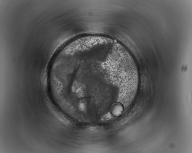 X0000101710584200807241458