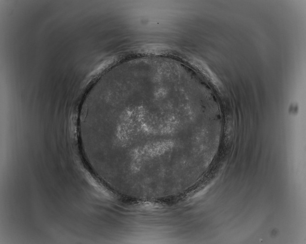 X0000101710585200807241458