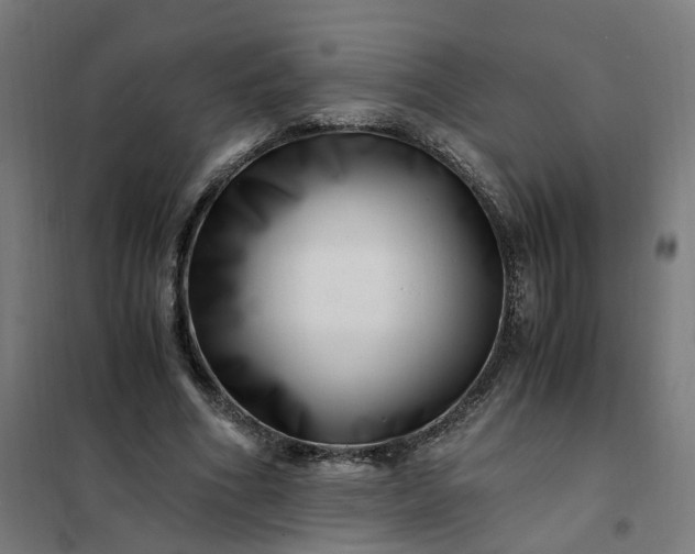 X0000101710586200807241458