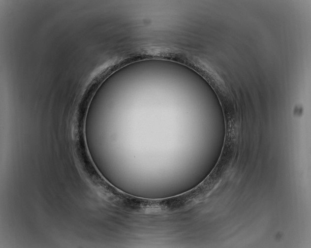 X0000101710587200807241458