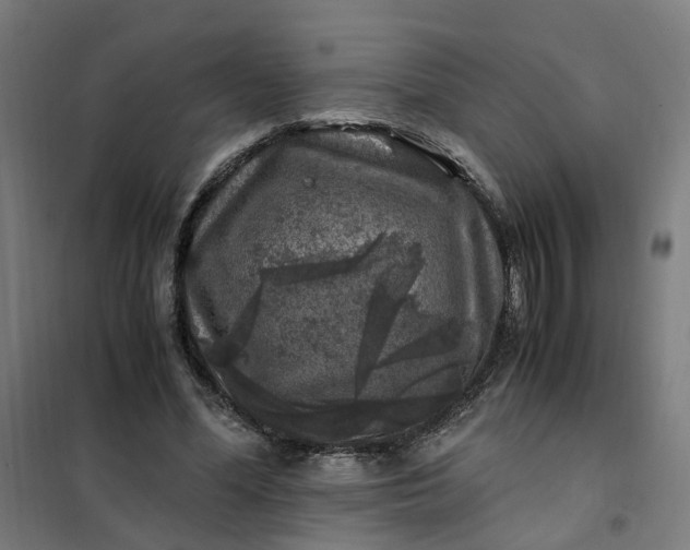 X0000101710588200807241458