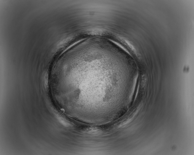 X0000101710589200807241458