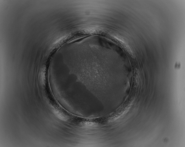 X0000101710590200807241458