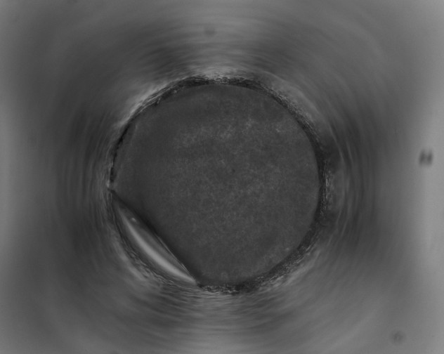 X0000101710592200807241458