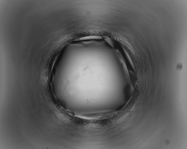 X0000101710593200807241458