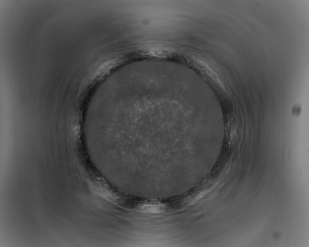 X0000101710595200807241457