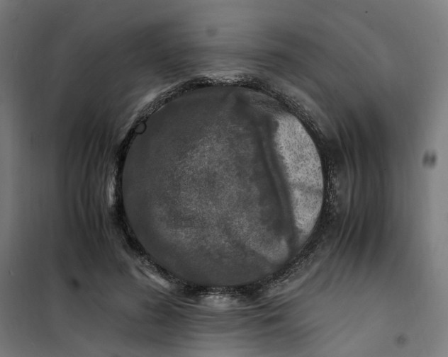 X0000101710596200807241457