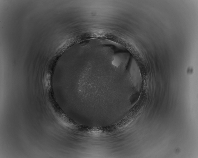 X0000101710598200807241457