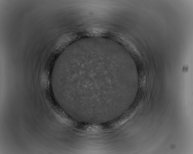 X0000101710599200807241457