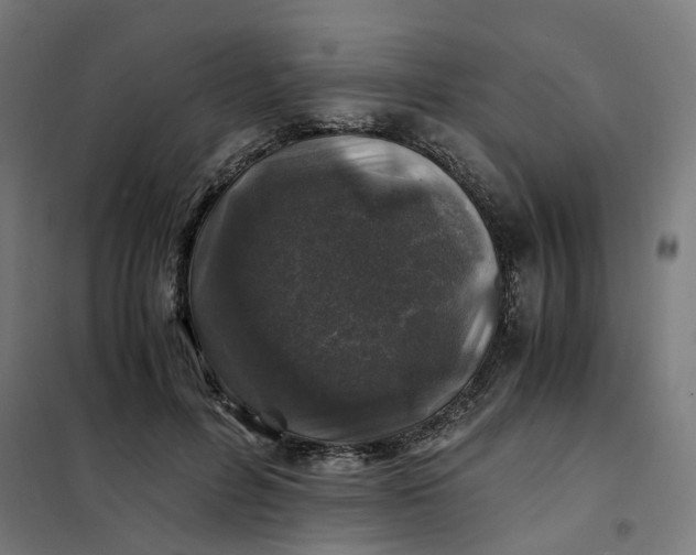 X0000101710600200807241457