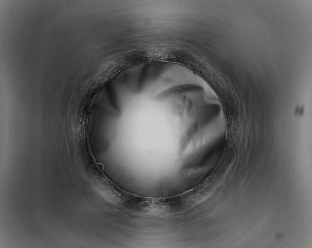 X0000101710601200807241457