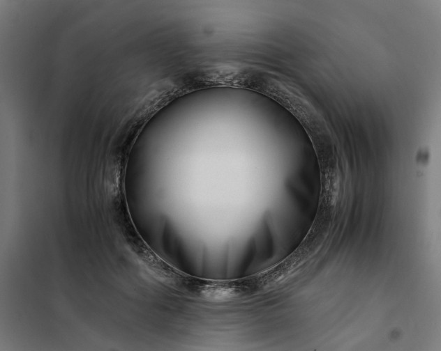 X0000101710602200807241457