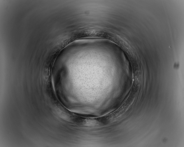 X0000101710605200807241457