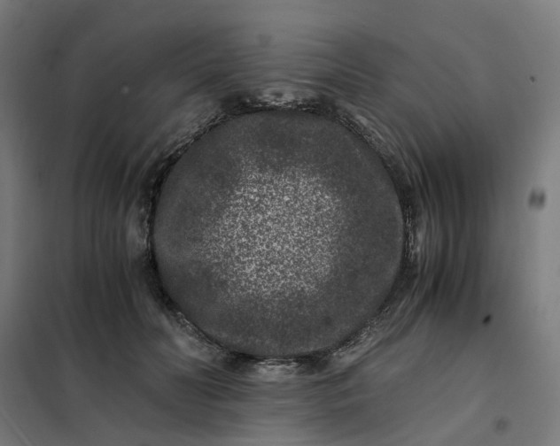 X0000101710606200807241457