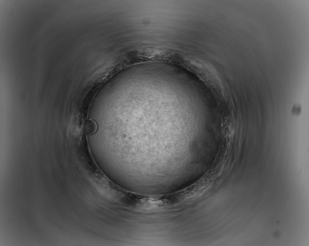 X0000101710607200807241457