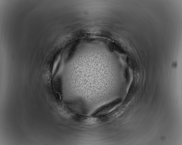 X0000101710609200807241457