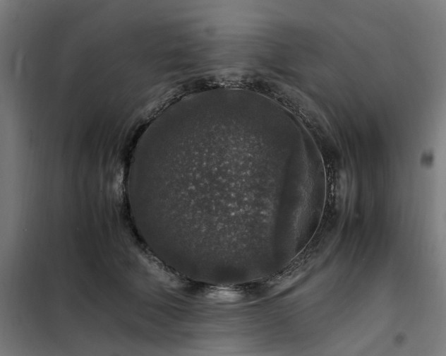 X0000101710610200807241457