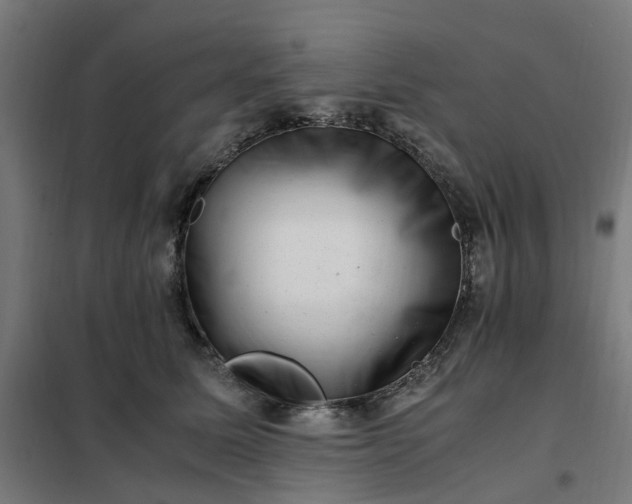 X0000101710611200807241457