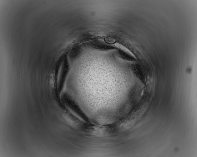 X0000101710612200807241457