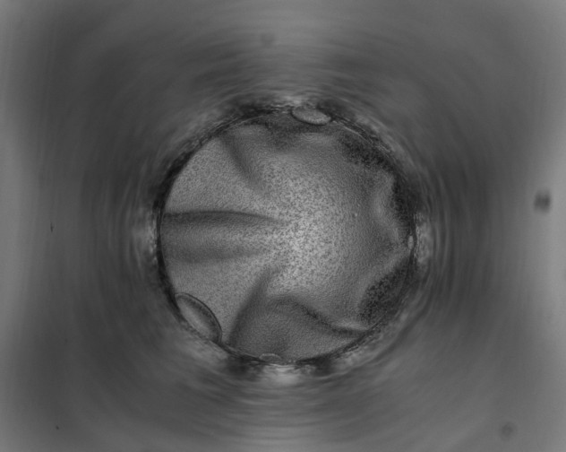 X0000101710613200807241457