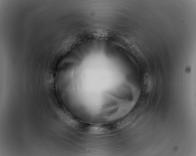 X0000101710614200807241457