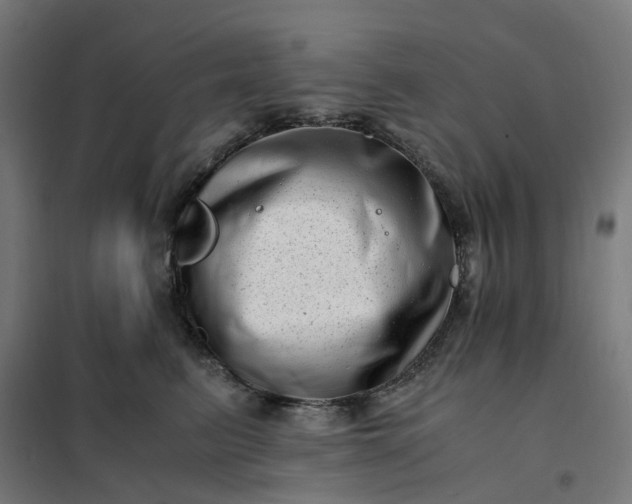 X0000101710615200807241457