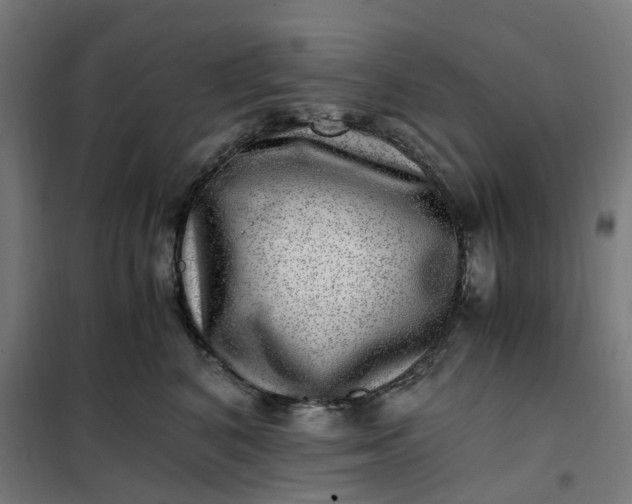 X0000101710616200807241457