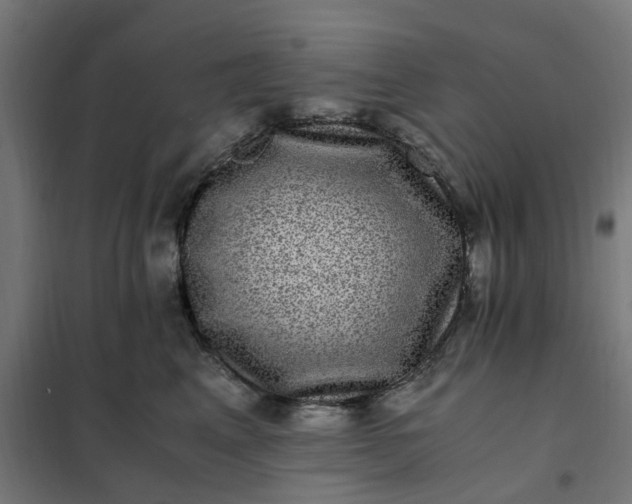 X0000101710617200807241457