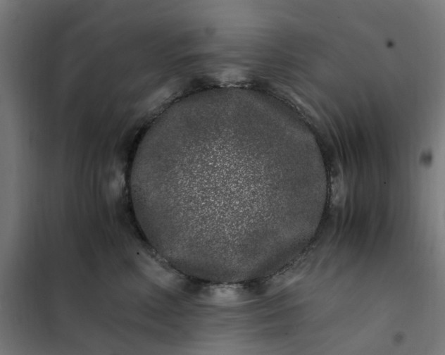 X0000101710618200807241457