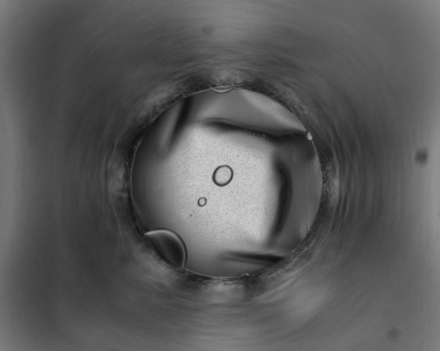 X0000101710619200807241457