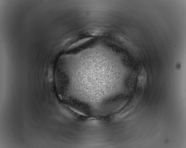 X0000101710620200807241457