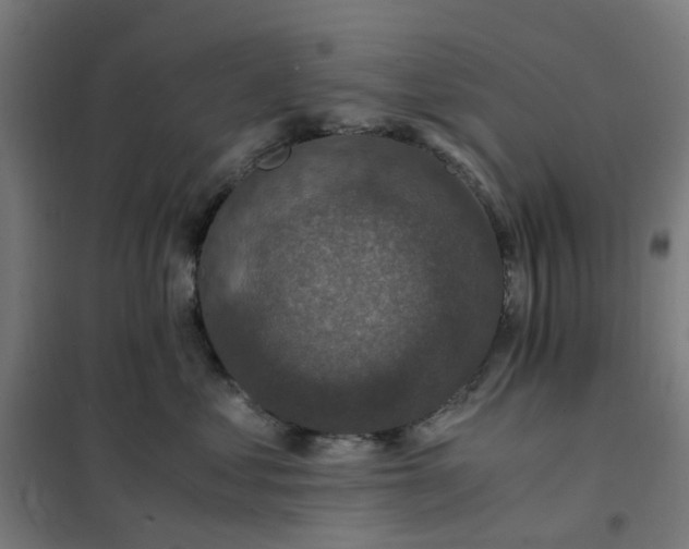 X0000101710621200807241457