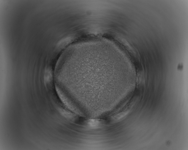 X0000101710623200807241457