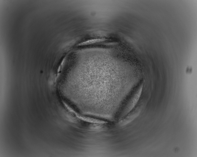 X0000101710624200807241457