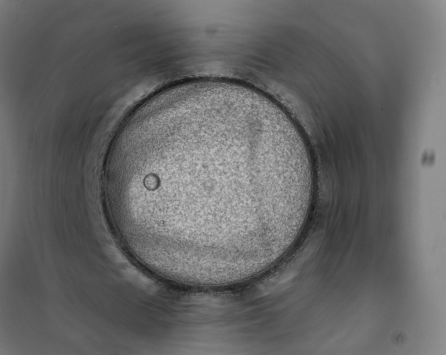 X0000101710625200807241456