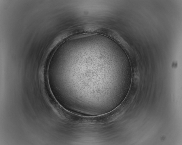 X0000101710626200807241456