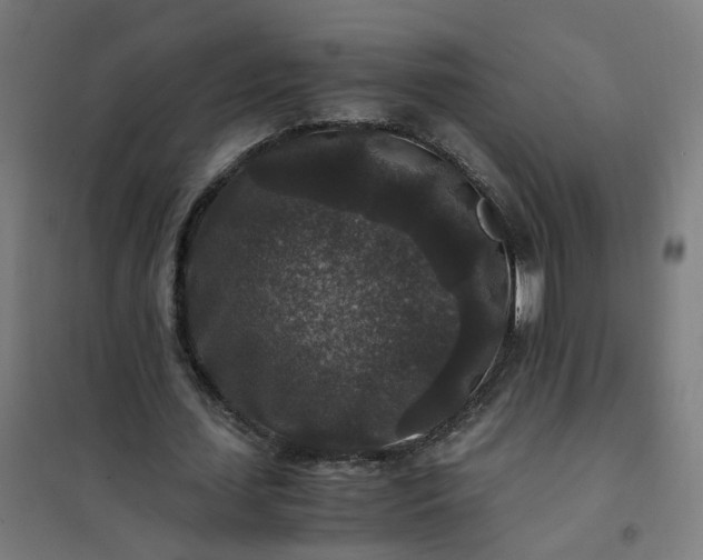 X0000101710627200807241456