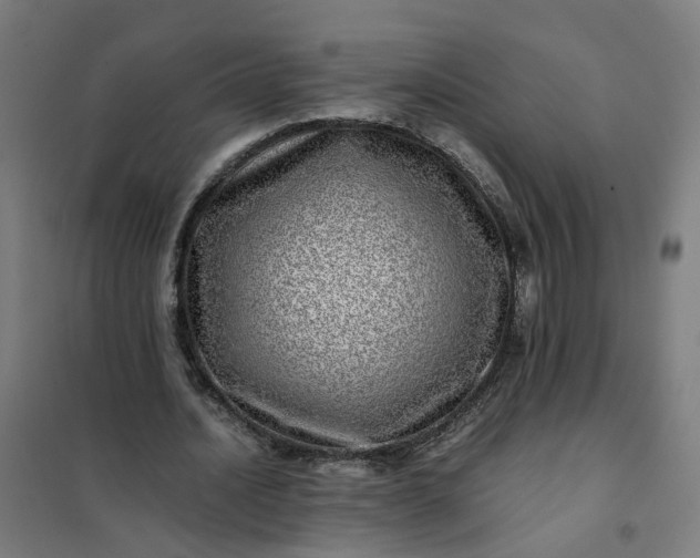 X0000101710628200807241456