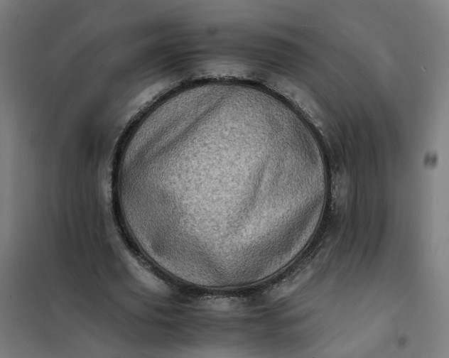 X0000101710629200807241456