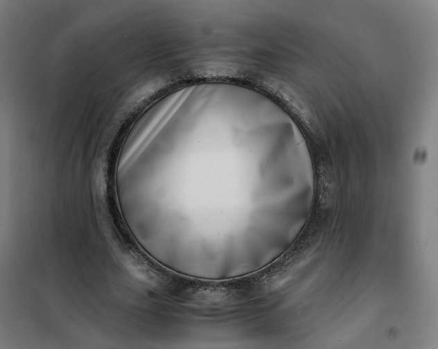 X0000101710631200807241457