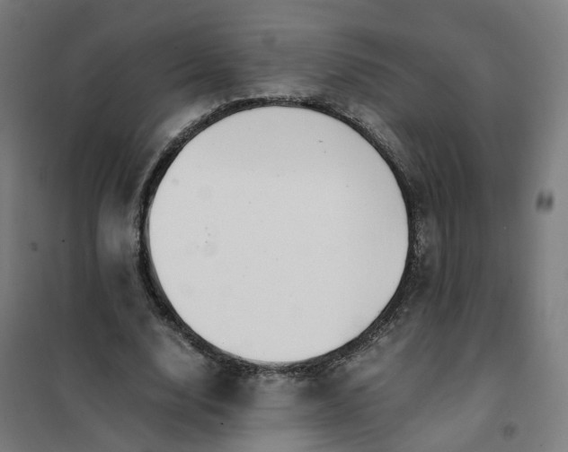 X0000101710632200807241457