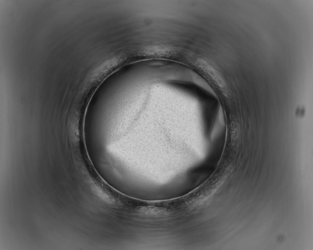 X0000101710633200807241457